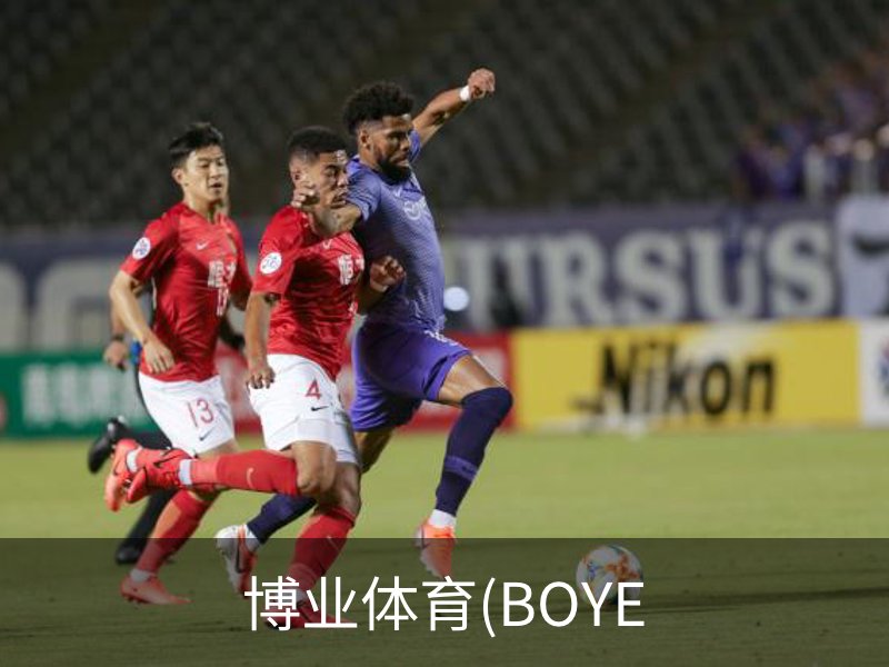 博业体育(BOYE概况