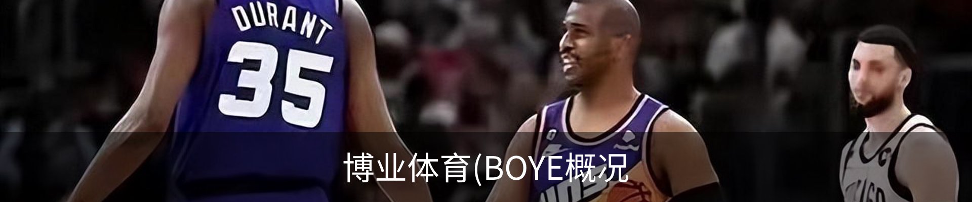 博业体育(BOYE概况